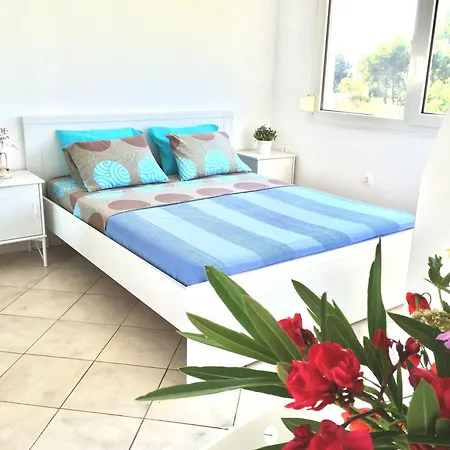 Acapus Studios Toroni Kamer foto